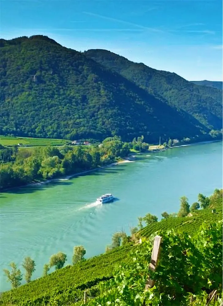 Ausflugsschiff auf der Donau zwischen bewaldeten Hängen und Weingärten der Wachau