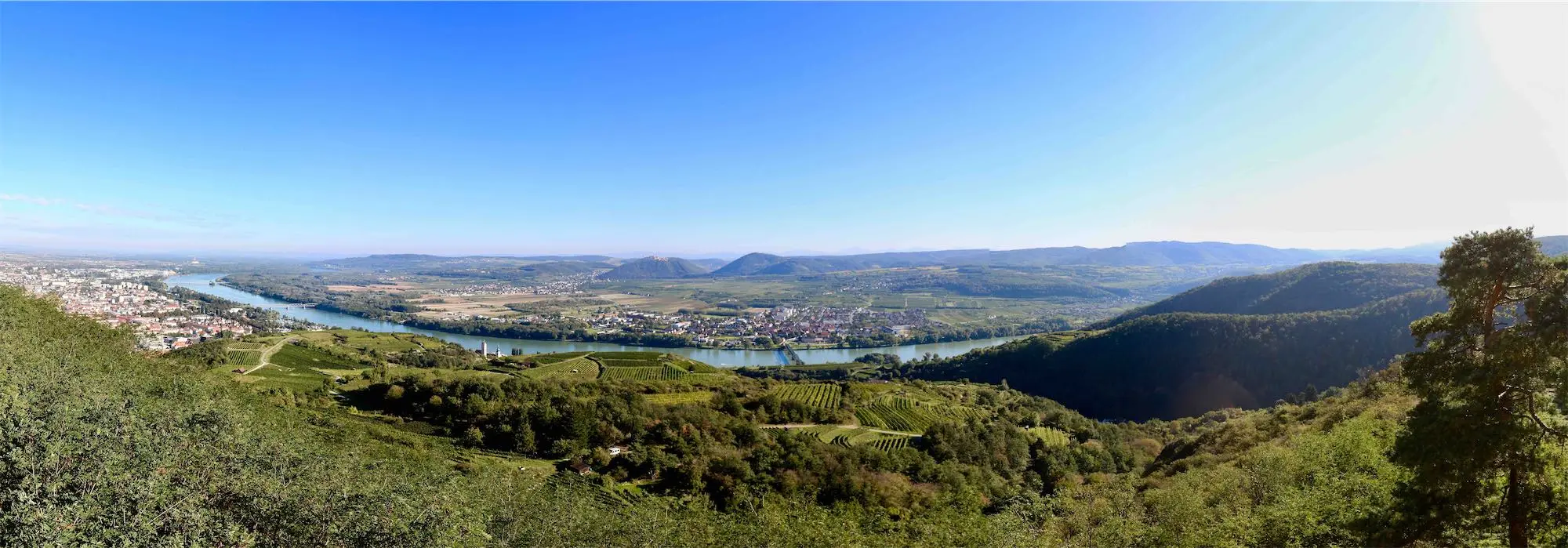 Blick über die Weingärten auf die Donau und die Wachau