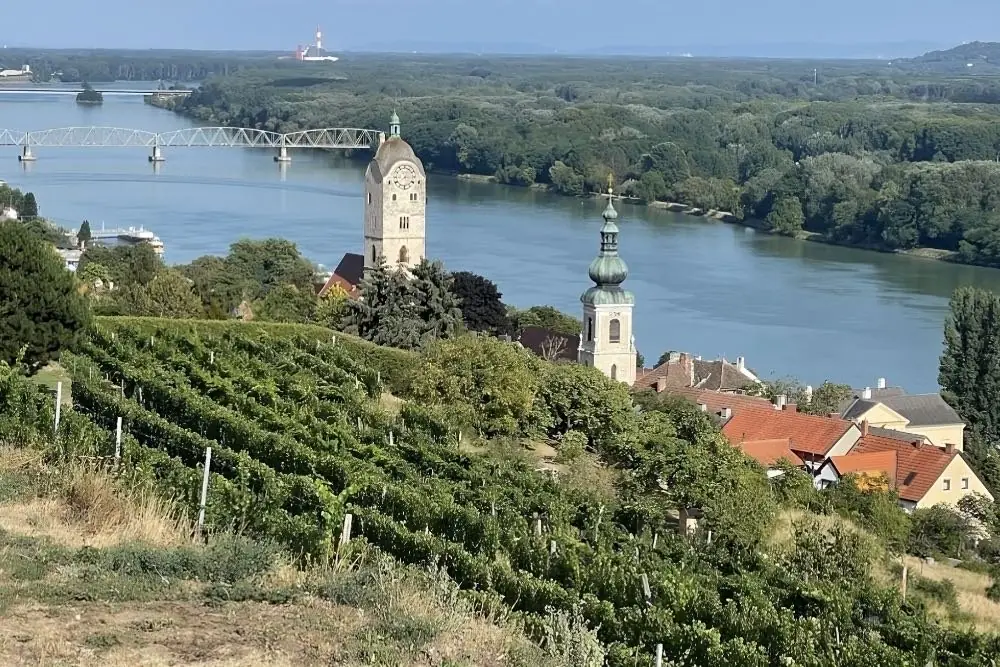 Blick von den Weingärten auf die Kirchtürme von Stein und die Donau mit Brücke