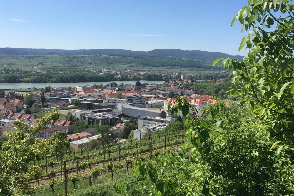 Blick von den Weingärten über die Dächer von Krems bis zur Donau