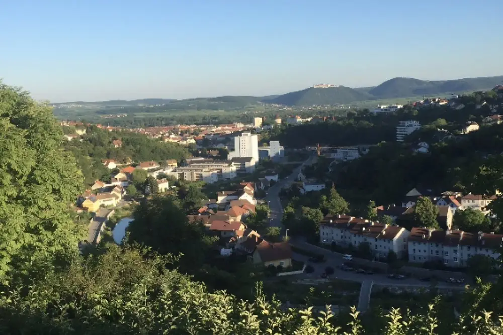 Blick von einer bewaldeten Anhöhe über Krems bis zu den Hügeln am Horizont