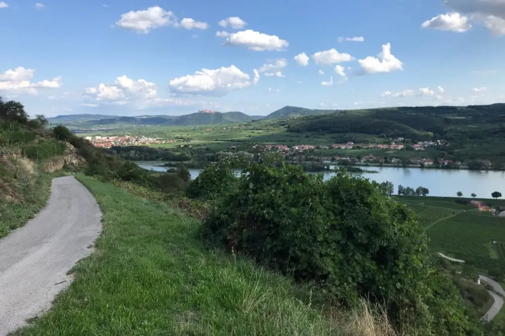 Asphaltweg am Hang mit Blick über das Donautal und die Weingärten